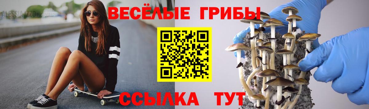 Узловая  Псилоцибиновые грибы GOLDEN TEACHER  Вход с VPN  Галлюциногенные грибы мухоморы 